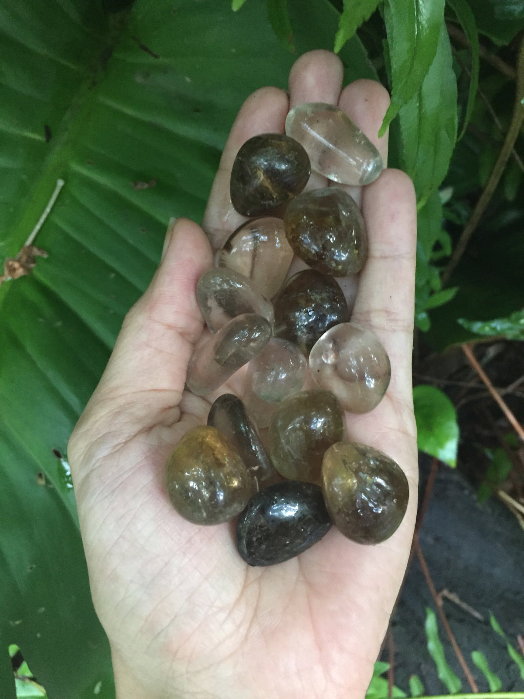 Smoky Quartz Polished Tumblestones
