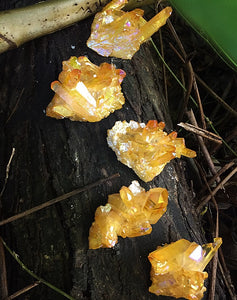 Yellow Angel Aura Clusters