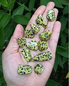 Dalmatian Jasper Stones