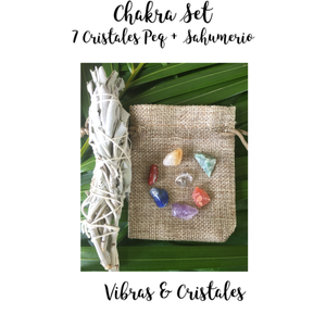 Chakra Set / 7 Small Crystals + Sage Smudge