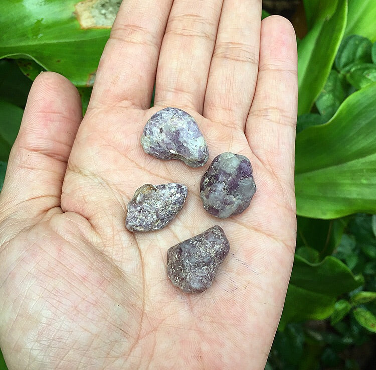 Lepidolite Tumblestones