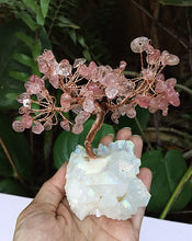 Cargar imagen en el visor de la galería, Strawberry Quartz Bonsai Tree with Angel Aura Base

