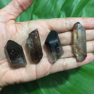 Smoky Quartz Raw Points