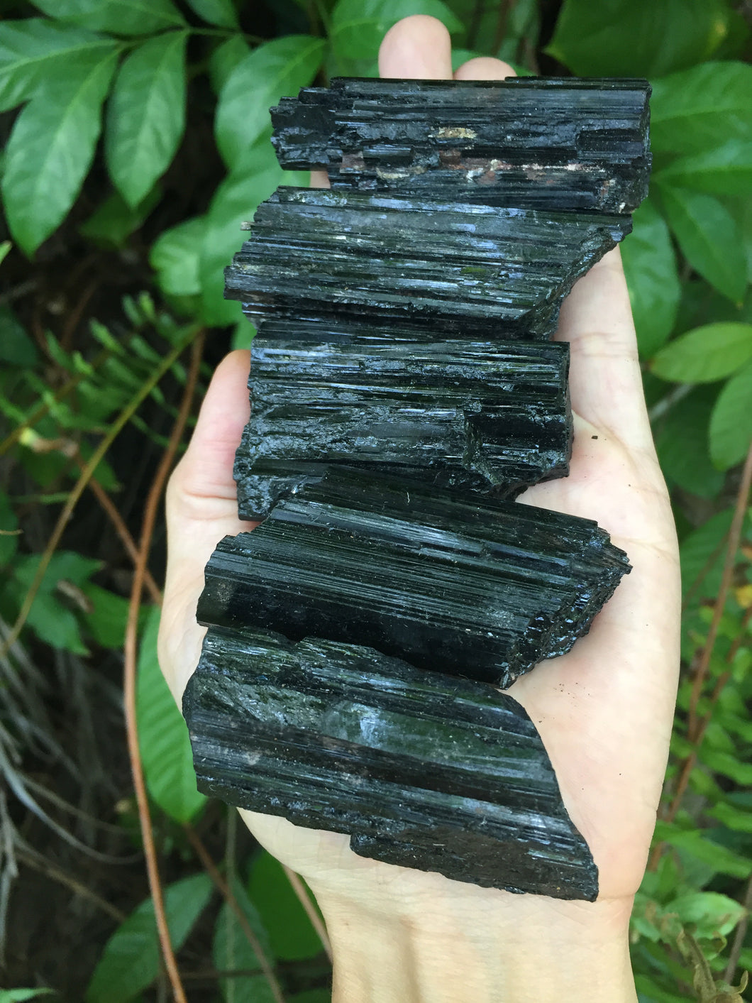 Large Tourmaline Quartz Muscovite 2”-3”