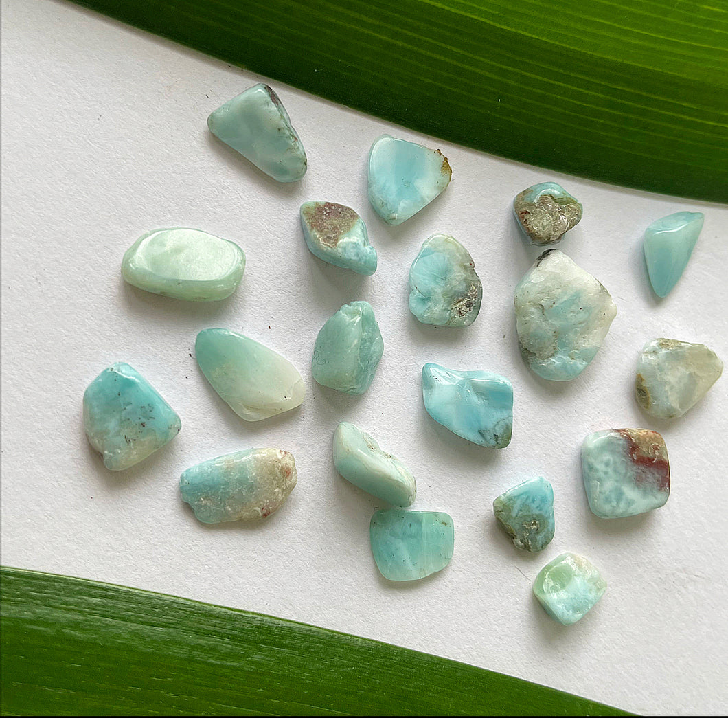Larimar Chips