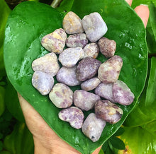 Cargar imagen en el visor de la galería, Lepidolite Tumblestones
