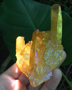 Yellow Angel Aura Clusters