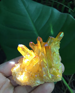 Yellow Angel Aura Clusters