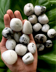 Moonstone Large Polished  Tumblestones