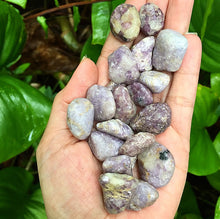 Cargar imagen en el visor de la galería, Lepidolite Tumblestones
