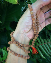 Cargar imagen en el visor de la galería, Rudraksha Mala Meditation Rosary
