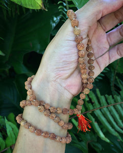 Rudraksha Mala Meditation Rosary