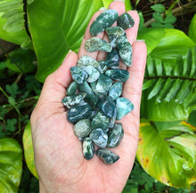 Cargar imagen en el visor de la galería, Tree Agate Tumblestones
