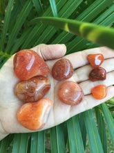 Cargar imagen en el visor de la galería, Carnelian Agate Tumblestones
