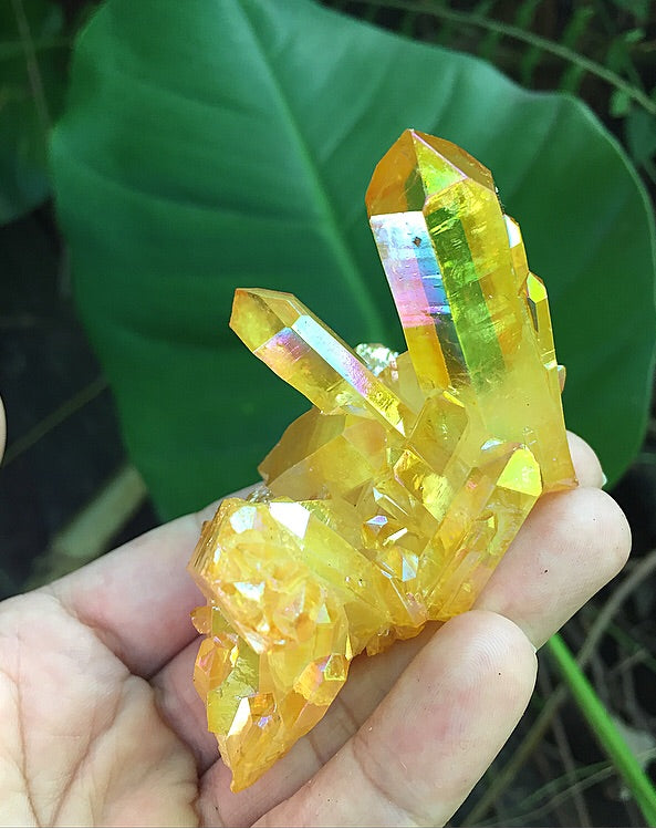 Yellow Angel Aura Clusters