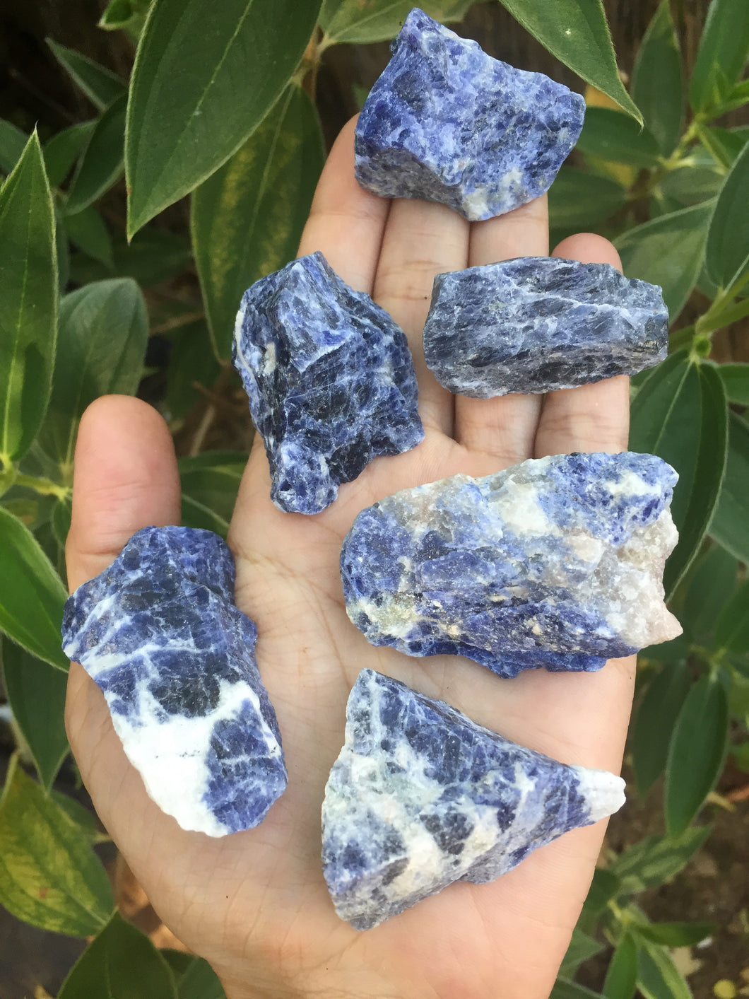 Sodalite Raw Chunks