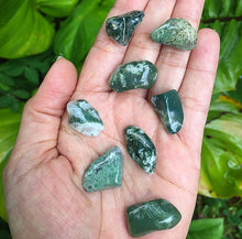 Cargar imagen en el visor de la galería, Tree Agate Tumblestones
