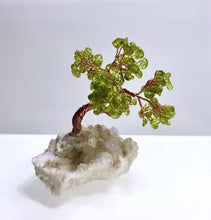 Cargar imagen en el visor de la galería, Peridot Bonsai Tree with Angel Aura Base
