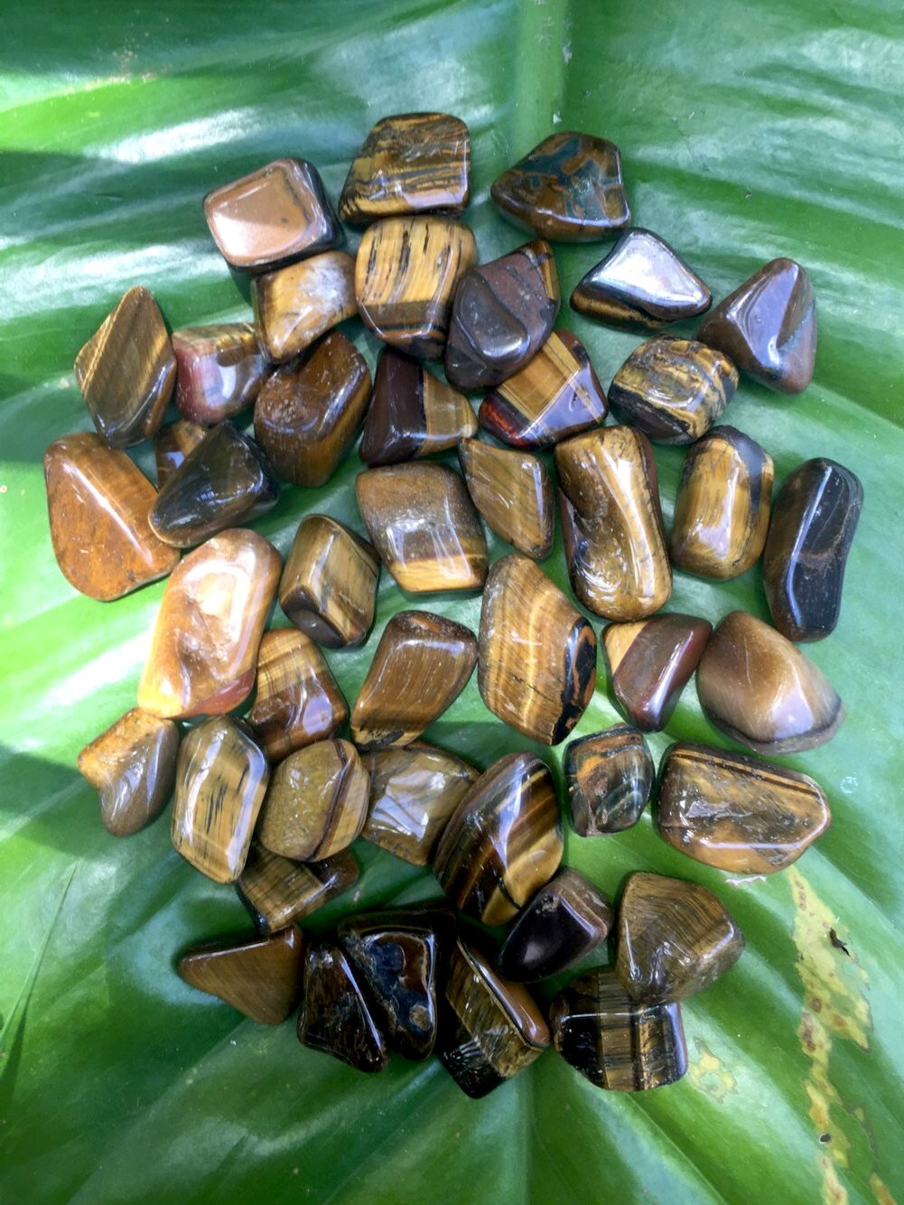 Yellow Tiger Eye Tumblestones