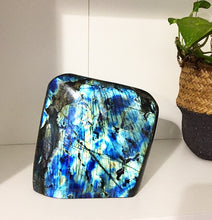 Cargar imagen en el visor de la galería, Huge Labradorite Freeform 6 lb
