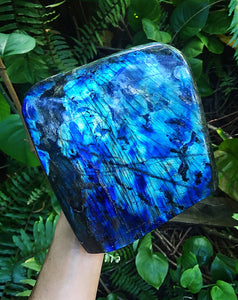 Huge Labradorite Freeform 6 lb