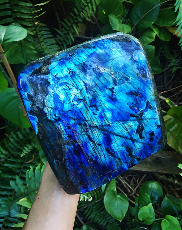 Huge Labradorite Freeform 6 lb