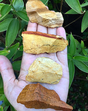 Cargar imagen en el visor de la galería, Petrified Wood
