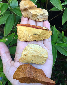 Petrified Wood