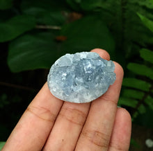 Cargar imagen en el visor de la galería, Celestite Mini Cluster
