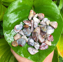 Cargar imagen en el visor de la galería, Crazy Lace Agate Tumblestones
