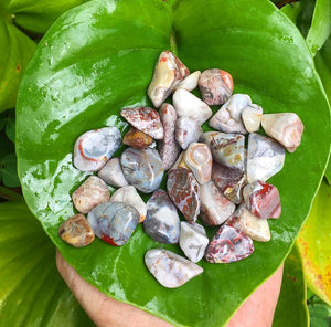 Crazy Lace Agate Tumblestones