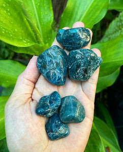 Apatite Tumblestones