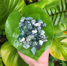 Cargar imagen en el visor de la galería, Tree Agate Tumblestones
