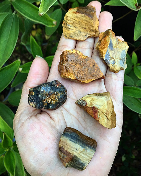 Petrified Wood