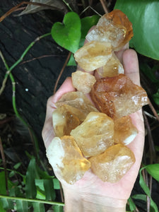 Citrine Raw Points