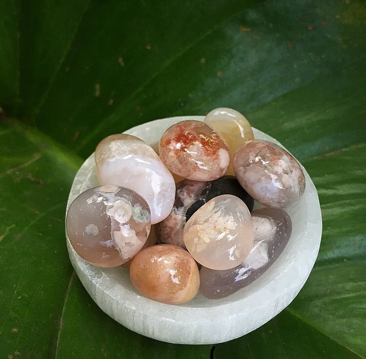 Flower Agate Tumblestones