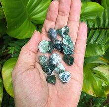 Cargar imagen en el visor de la galería, Tree Agate Tumblestones
