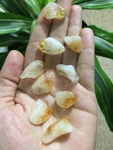 Cargar imagen en el visor de la galería, Citrine Tumblestones
