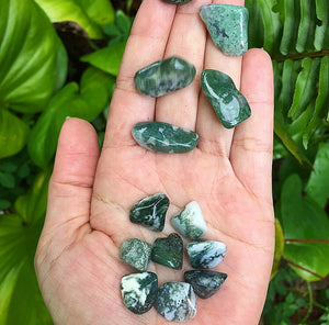 Tree Agate Tumblestones