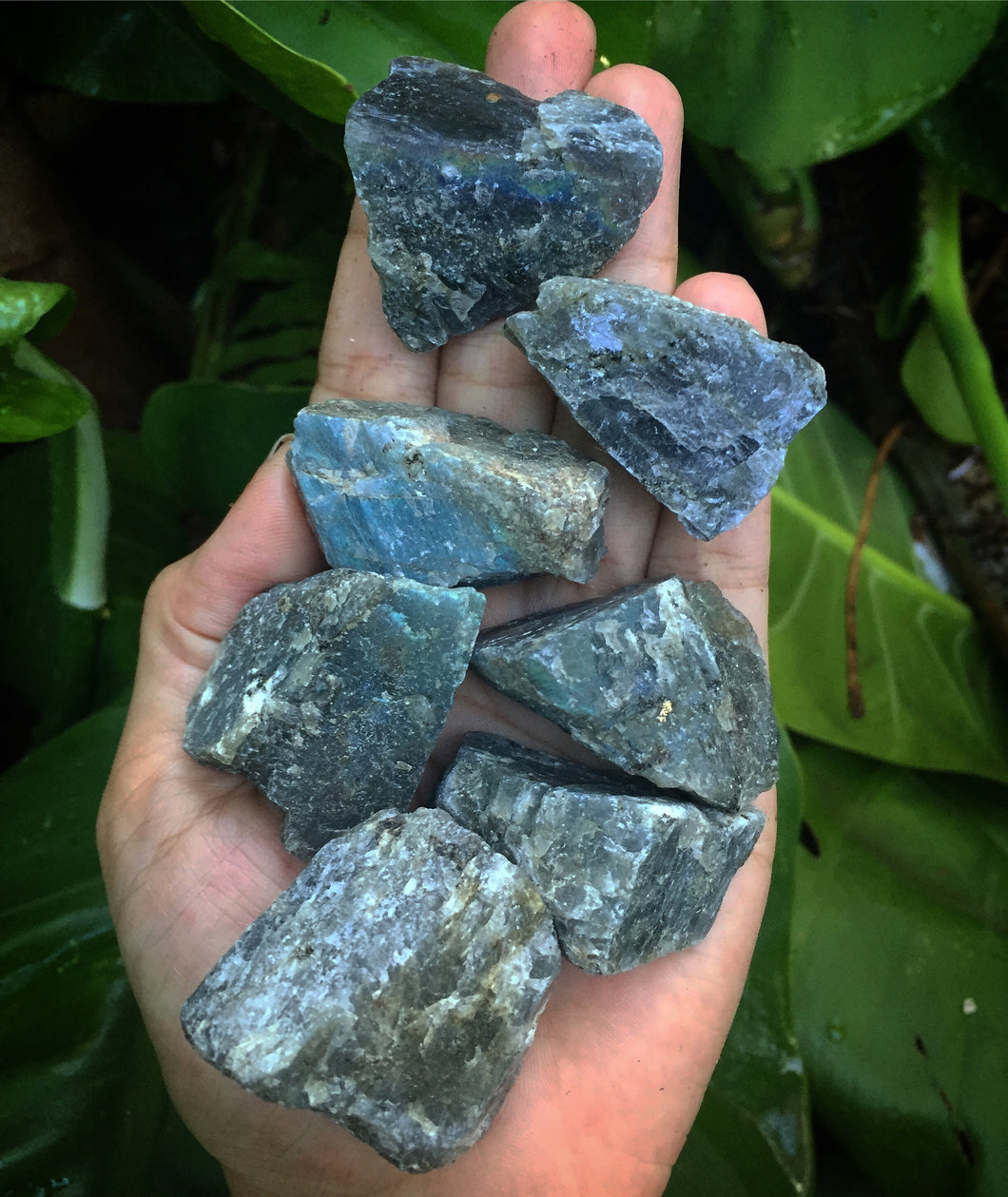 Labradorite Raw Chunks